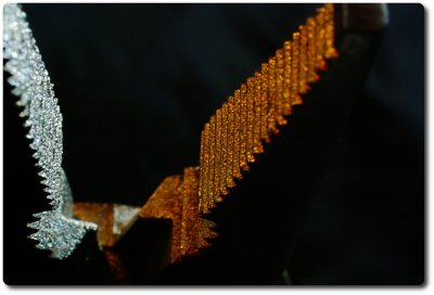 MacroTest-002.jpg