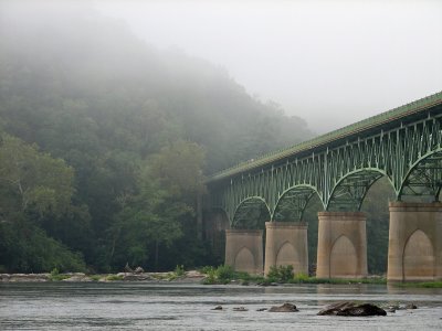 Graceful piers disappear into the woods