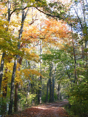 On the trail