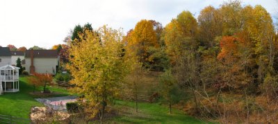 Panorama - Our backyard at the end of Fall