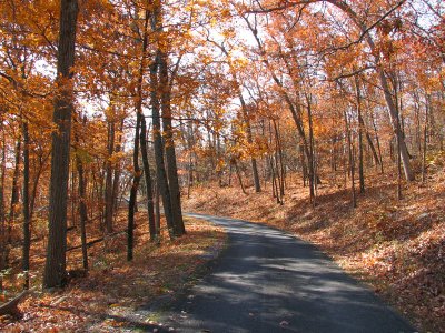 The climb up Sugarloaf mountain