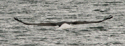 Full stretch over the water