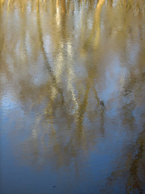 Reflections in the early morning flows