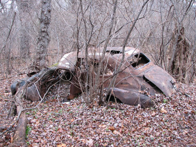 Trash from the 1950s or 1960s in the woods - Its a crying shame!