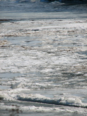 Ice covers the river