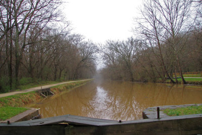 Canal full of brown water after rain at Pennyfield lock.