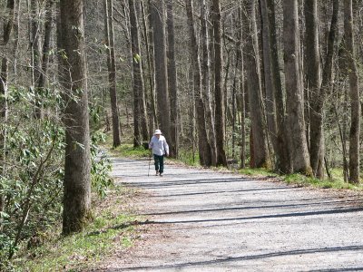 Returning from a walk