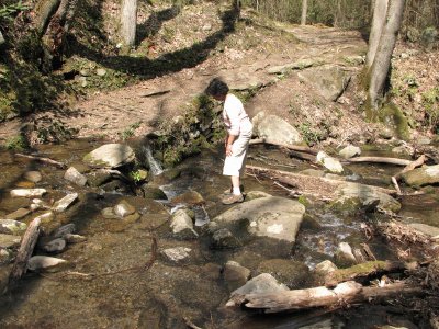 On the Cucumber Gap trail