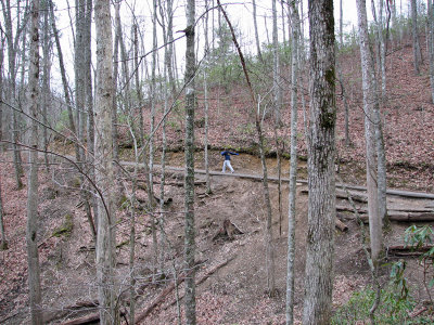 Charging up the hill to Laurel Falls