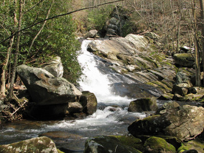 At the level of the Falls