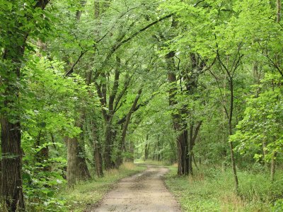 On the trail near Whites Ferry