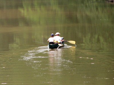 Returning to shore on the Monocacy river