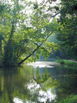 A quiet reflection