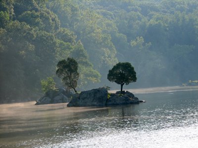 Early morning mist over Widewater