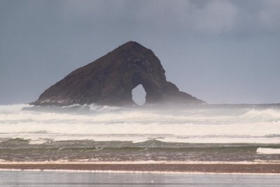 Rock formation in the Tasman Sea