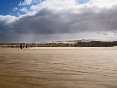 Dunes behind the beach