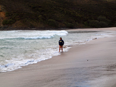 A walk on the beach