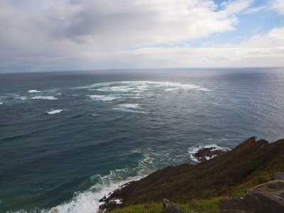 Clash of the Tasman Sea and the Pacific Ocean