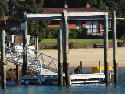 Keeping a watch from the dock