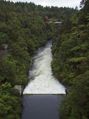 The Waitkato river flows north