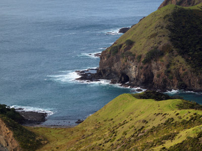 Rugged coastline