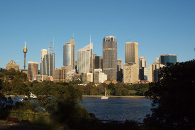 Downtown Sydney from the Botanical Gardens