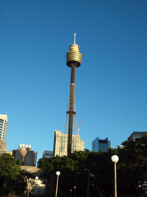 Driving past the Sydney Tower