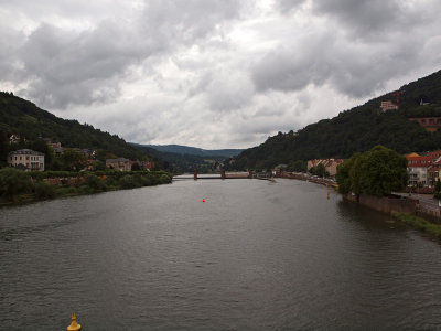 The Neckar