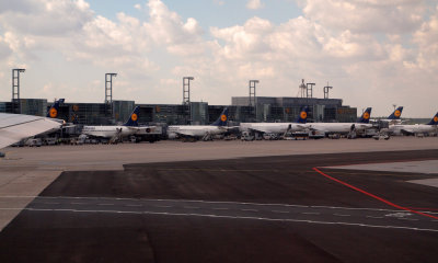Lufthansa tails at FRA