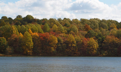 Changing colors by the lake