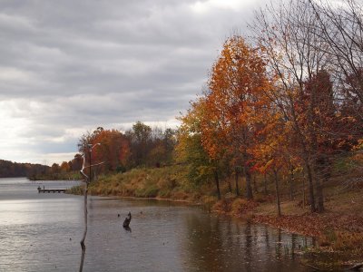 The nearby shoreline