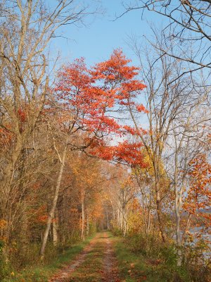 Trail beside Big Pool