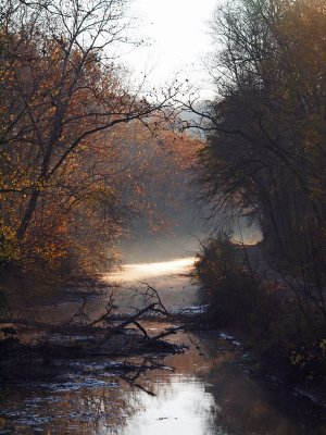 Nov  7th -  Early morning view from Violettes Lock