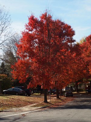 Down a neighboring street