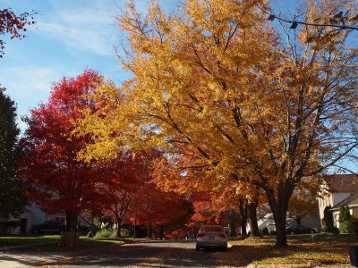 Yellow and red