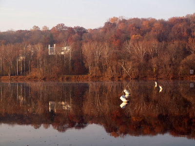 A house on the river