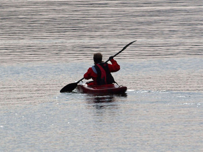 On the lake on a cold day