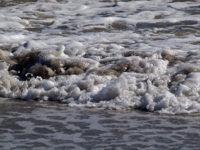 Frothy