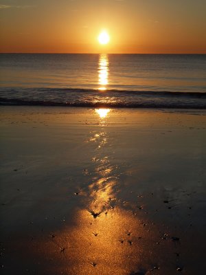 Reflection in the sand