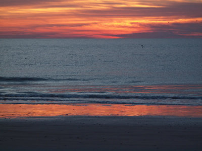 The beach