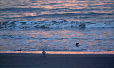 Reflections in the waves