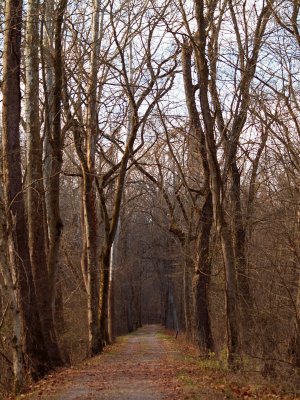 Trail and mile marker