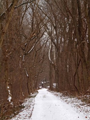 Dec 19th - snow on the trail