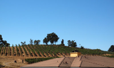 On the hill behind the Vino Bello