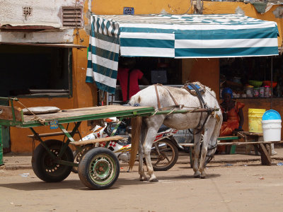 A horse and cart