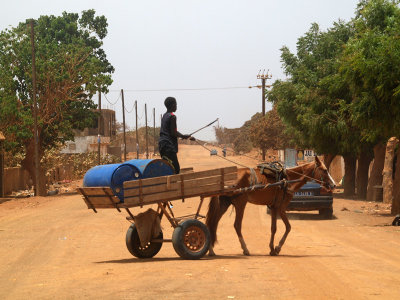 Skinny horse and cart