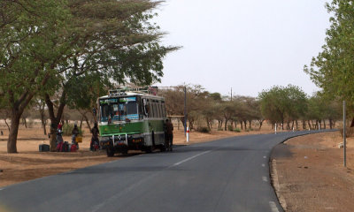 Catching a bus