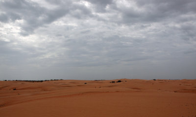 The sands