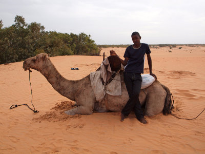The kid who walked the camels