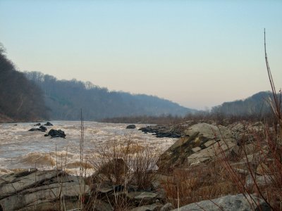 Looking upstream on the river bed